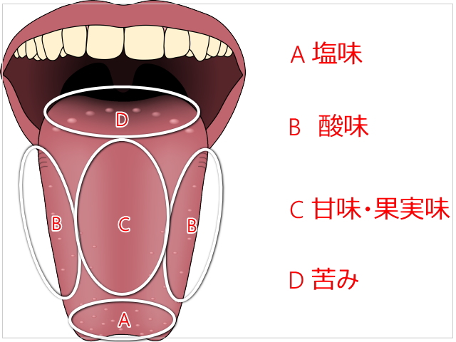 ワイングラスの違いと種類｜なぜその形になったの？その根拠は？ WINEBOOKS