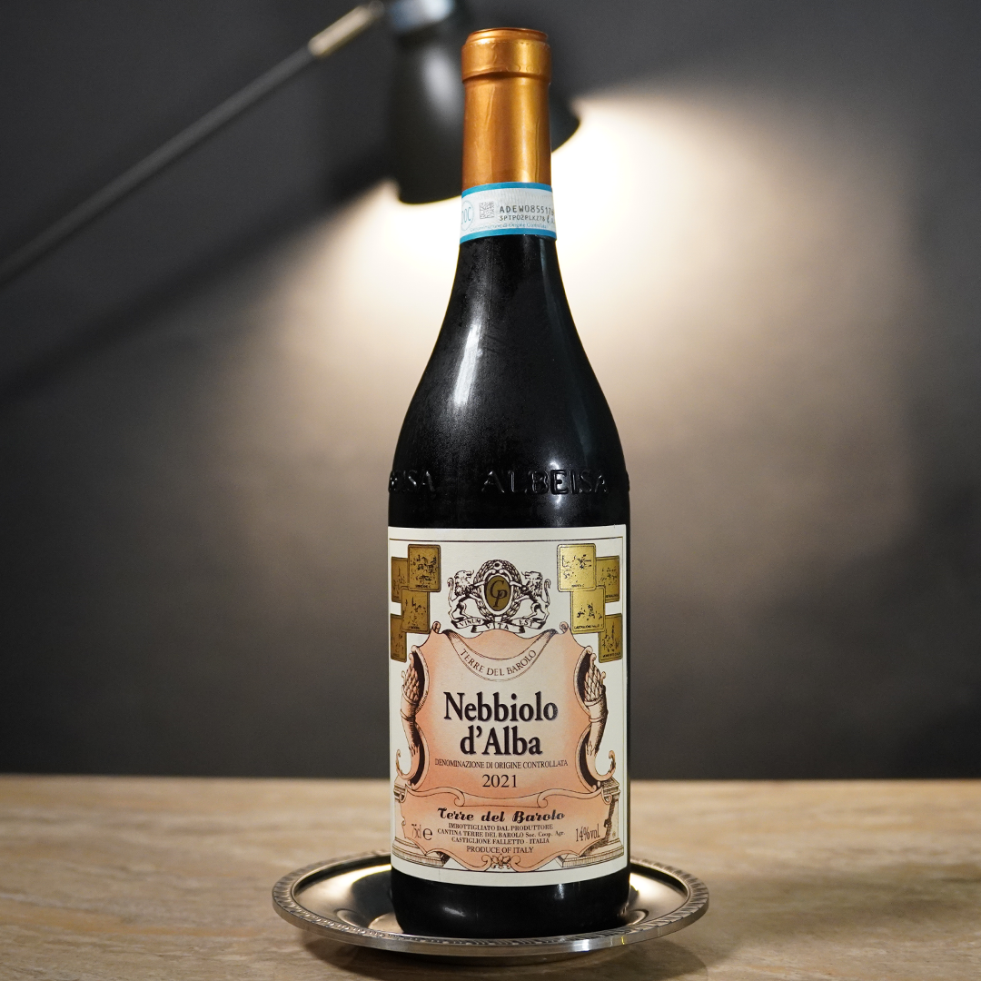 Nebbiolo d’Alba 2021 Terre del Barolo