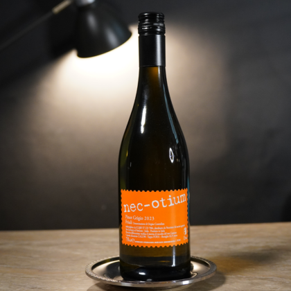 Friuli Pinot Grigio 2023 Nec-otium